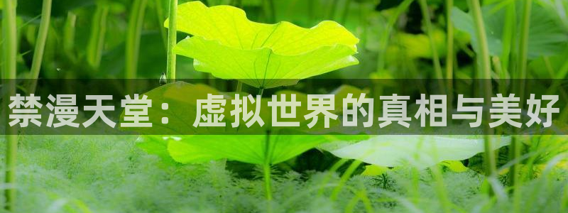 backstage韩漫免费观看：禁漫天堂：虚拟世界的真相与美好
