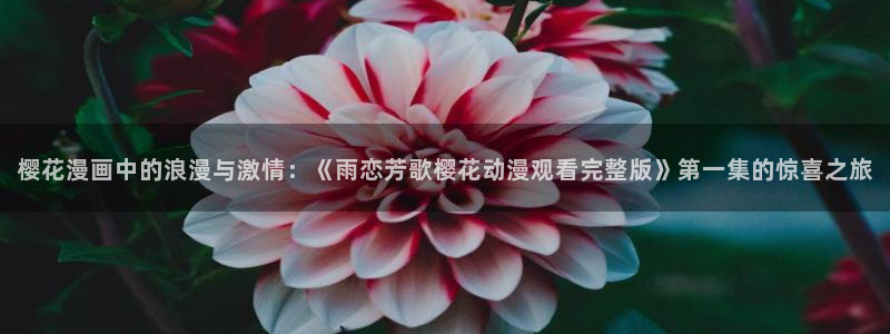 歪歪漫画官网版入口：樱花漫画中的浪漫与激情：《雨恋芳歌樱花动漫观看完整版》第一集的惊喜之旅