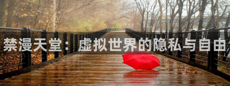 managereader漫画官网入口：禁漫天堂：虚拟世界的隐私与自由