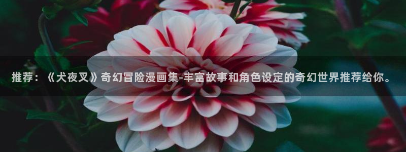 拷贝漫画 copymanager.ory网站：推荐：《犬夜叉》奇幻冒险漫画集-丰富故事和角色设定的奇幻世界推荐给你。
