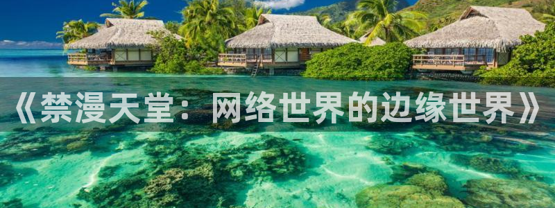 歪歪漫画网上看：《禁漫天堂：网络世界的边缘世界》