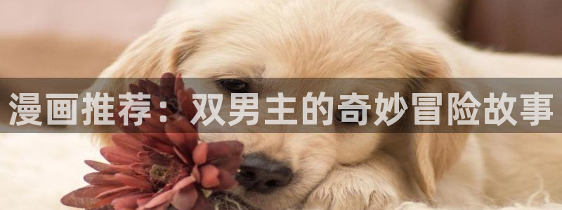 歪歪漫画下载网：漫画推荐：双男主的奇妙冒险故事