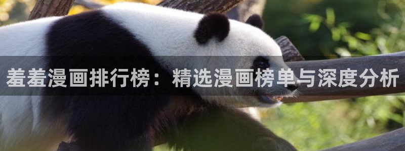 age漫画网：羞羞漫画排行榜：精选漫画榜单与深度分析