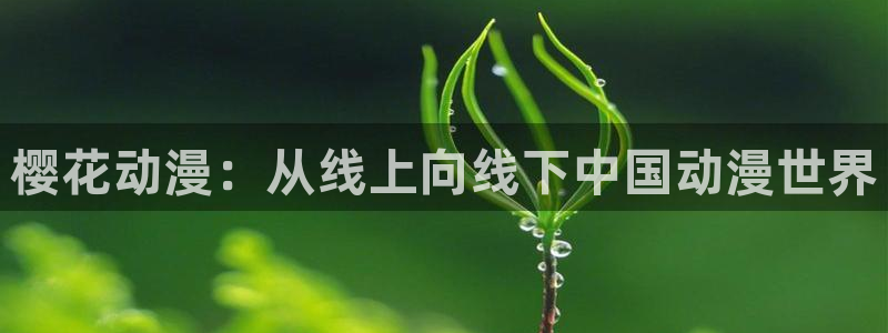 歪歪漫画官网在线入口：樱花动漫：从线上向线下中国动漫世界