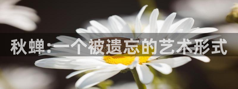 歪歪漫画官网网址：秋蝉:一个被遗忘的艺术形式