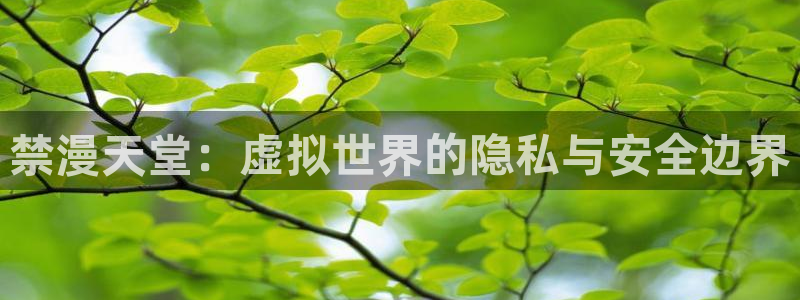 韩国漫画平台kakaopage：禁漫天堂：虚拟世界的隐私与安全边界