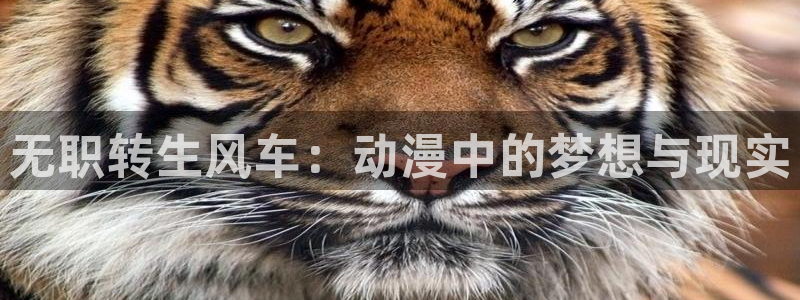 歪歪漫画官网樱花动漫：无职转生风车：动漫中的梦想与现实