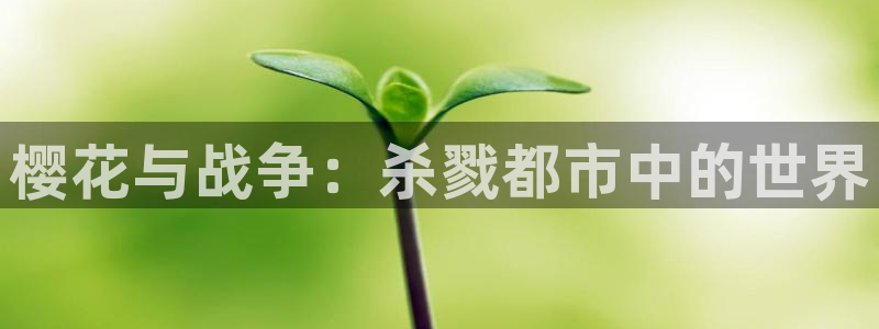 在线动画动漫下载歪歪漫画：樱花与战争：杀戮都市中的世界