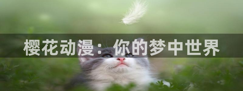 歪歪漫画下载入口：樱花动漫：你的梦中世界