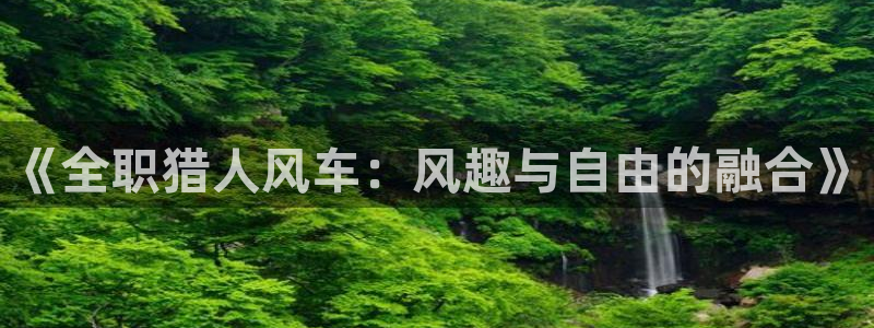 colamanage漫画下载：《全职猎人风车：风趣与自由的融合》
